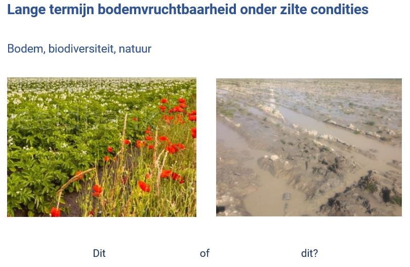 Bodemvruchtbaarheid