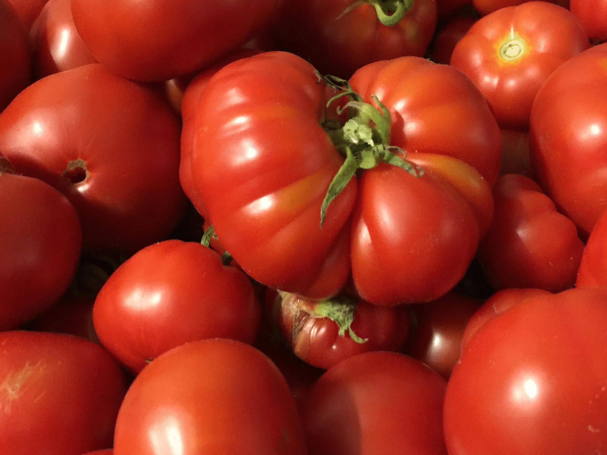 Tomaten-foto-2048x1535